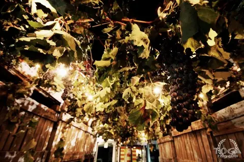 Romagna & Sangiovese, foto 199 di 294