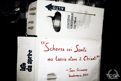 Romagna & Sangiovese, foto 251 di 294